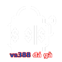 vs388 đá gà